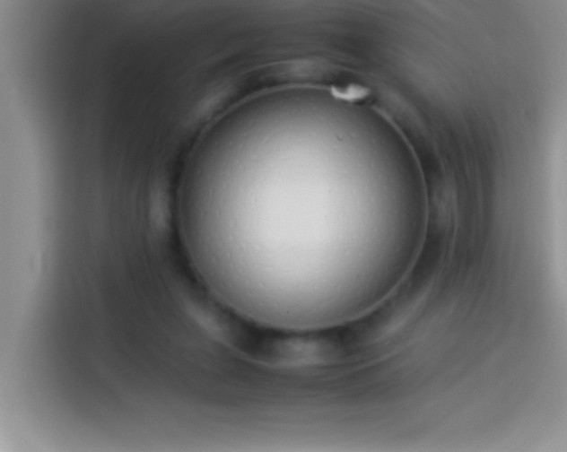 X0000113910255200910011454