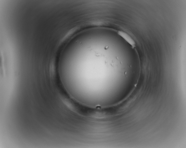 X0000113910256200910011454