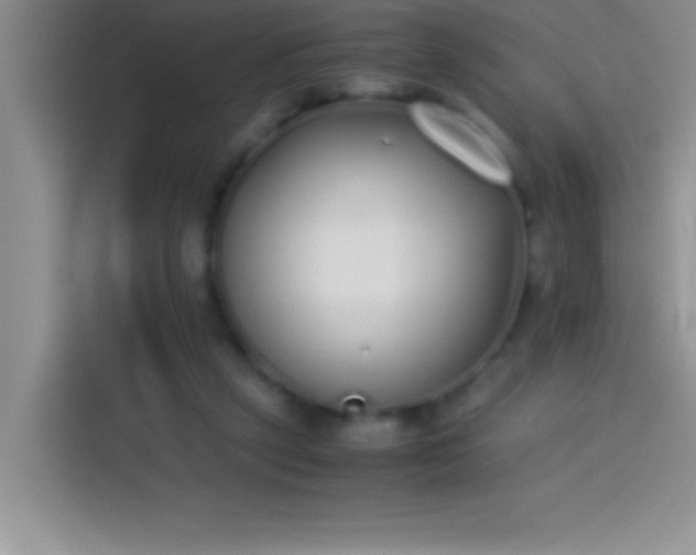 X0000113910257200910011454