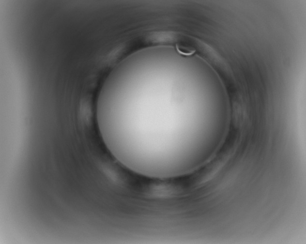 X0000113910259200910011454