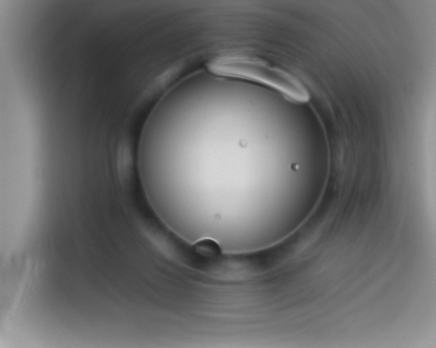 X0000113910260200910011454