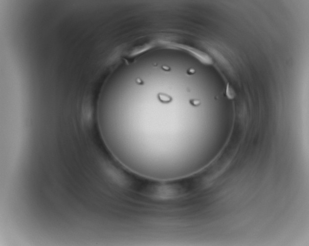 X0000113910261200910011454