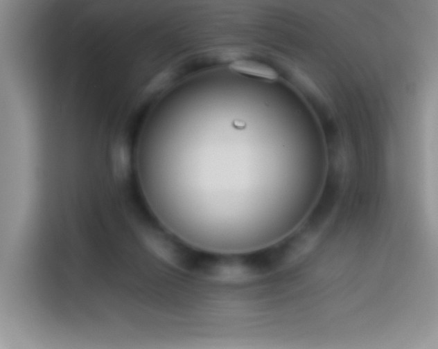 X0000113910262200910011454