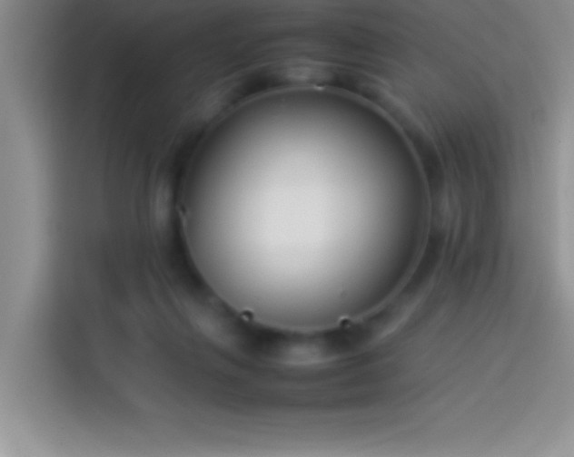 X0000113910263200910011454