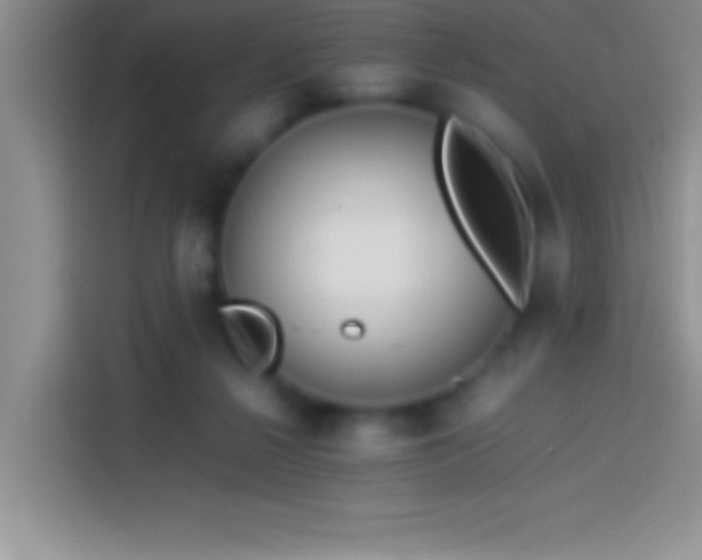 X0000113910264200910011454