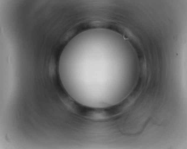 X0000113910266200910011454