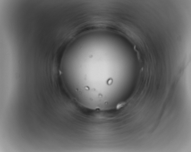 X0000113910268200910011455