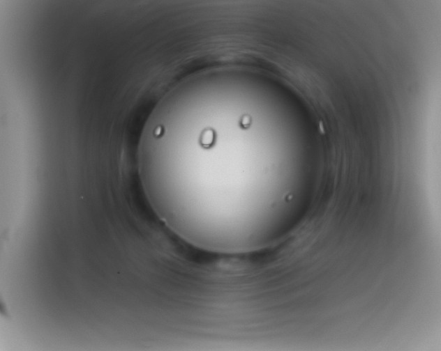 X0000113910272200910011455