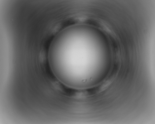 X0000113910274200910011455