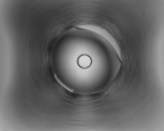 X0000113910276200910011455