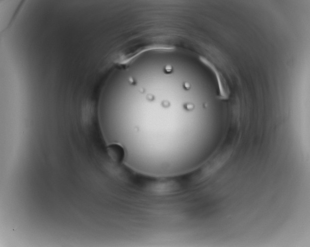 X0000113910278200910011455