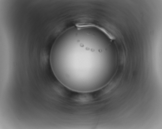 X0000113910279200910011455