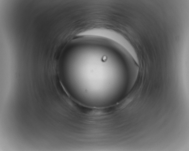 X0000113910280200910011455