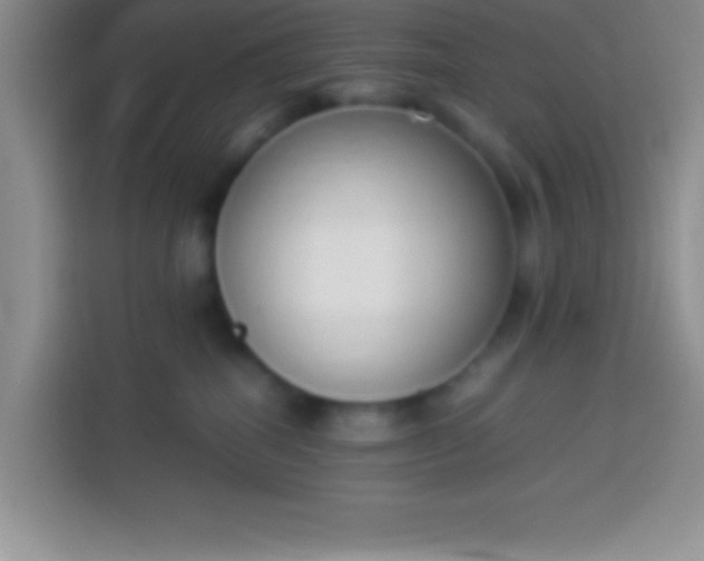 X0000113910282200910011455