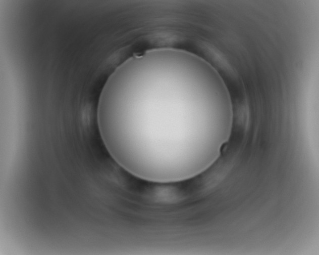 X0000113910283200910011455