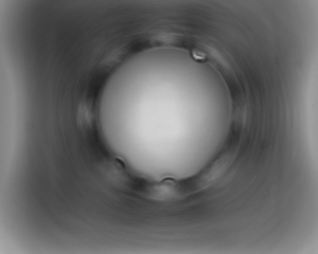 X0000113910285200910011455