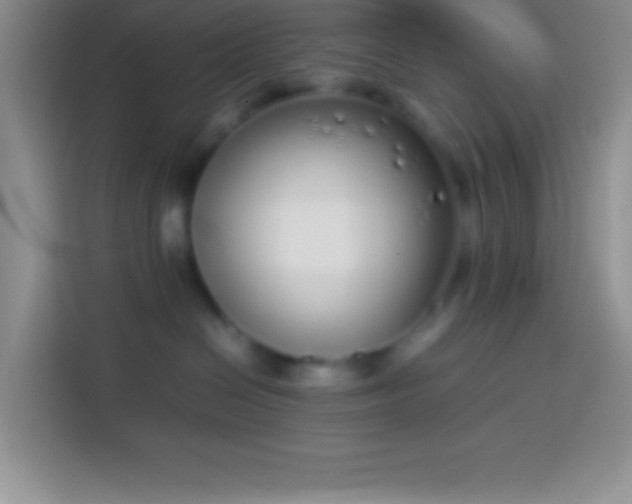 X0000113910286200910011455