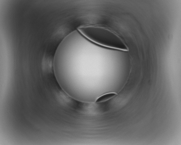 X0000113910288200910011455