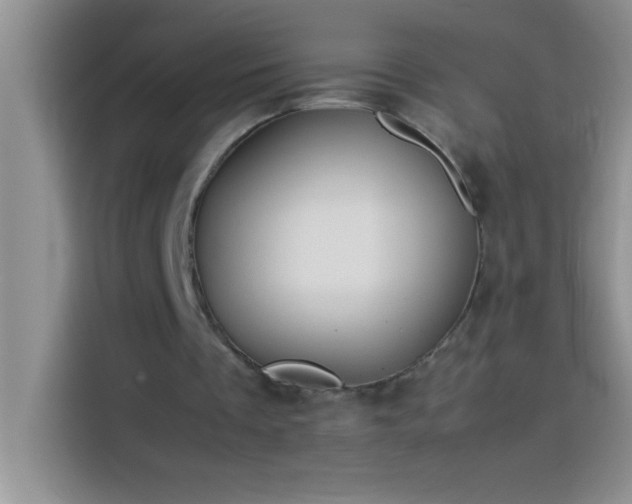 X0000113910289200910011454