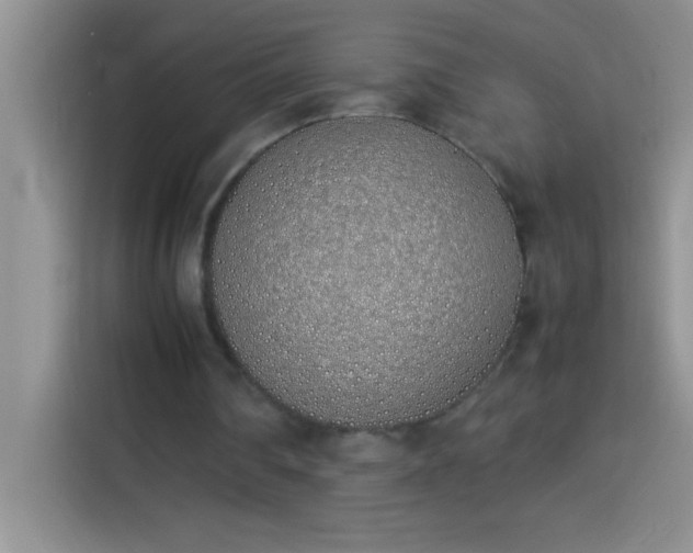 X0000113910290200910011454