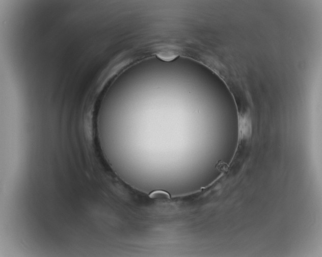 X0000113910291200910011454