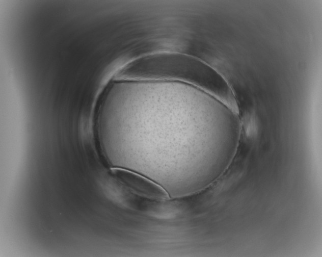 X0000113910292200910011454