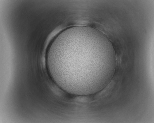 X0000113910294200910011454