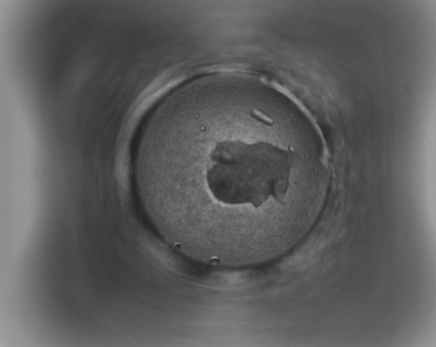 X0000113910295200910011454