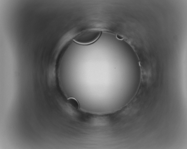 X0000113910296200910011454