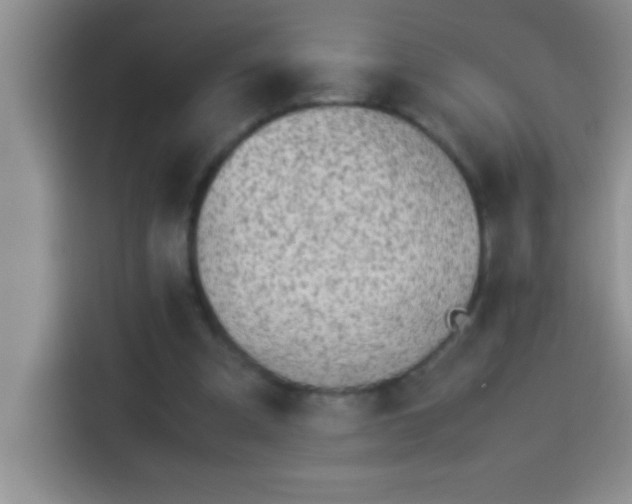 X0000113910297200910011454