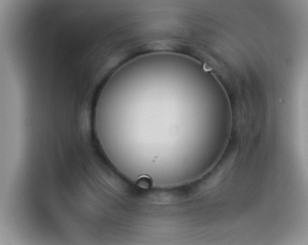 X0000113910299200910011454