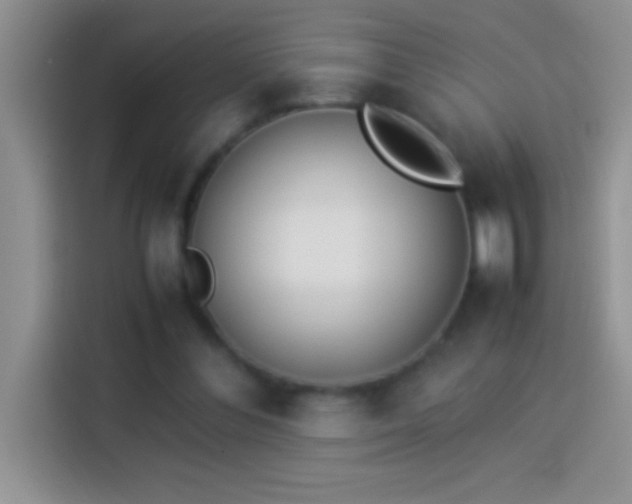 X0000113910300200910011454