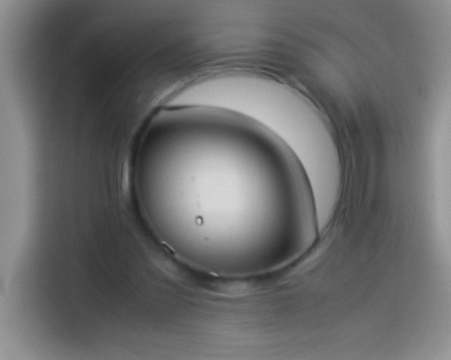 X0000113910301200910011454