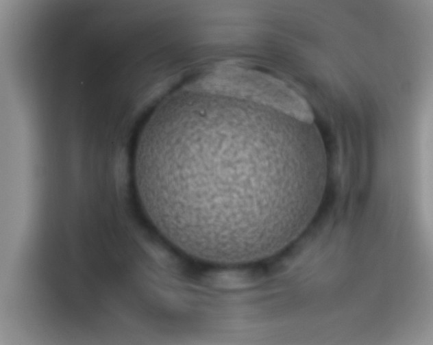 X0000113910303200910011454