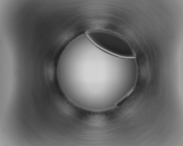 X0000113910304200910011454