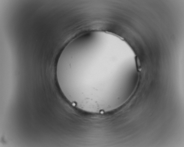 X0000113910305200910011454