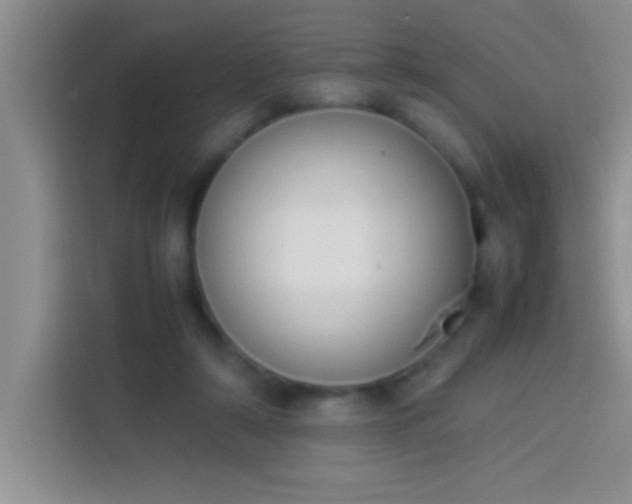 X0000113910306200910011454