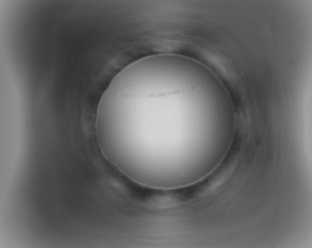 X0000113910307200910011454