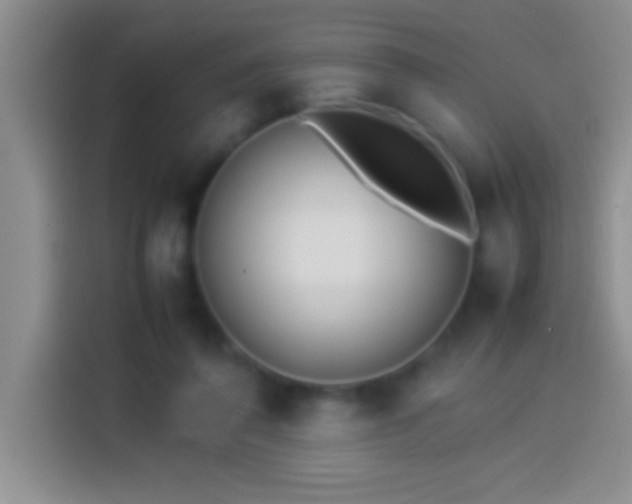 X0000113910308200910011454