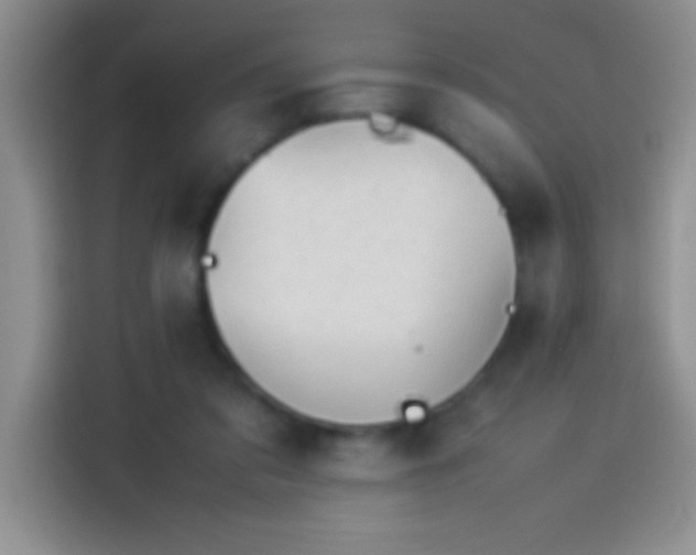 X0000113910309200910011454