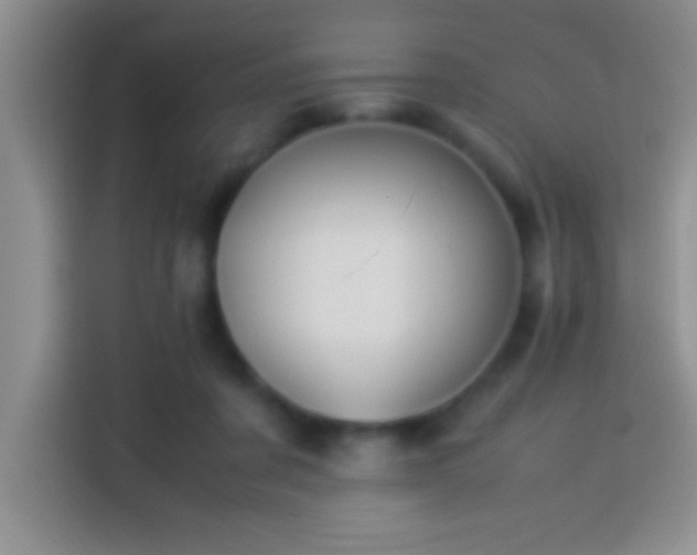 X0000113910311200910011454