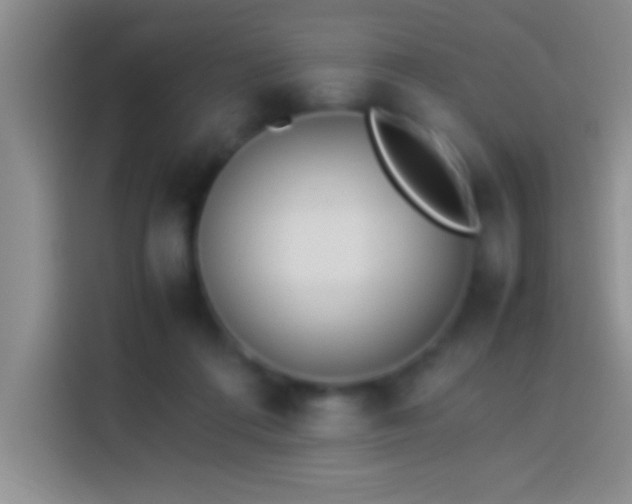 X0000113910312200910011454