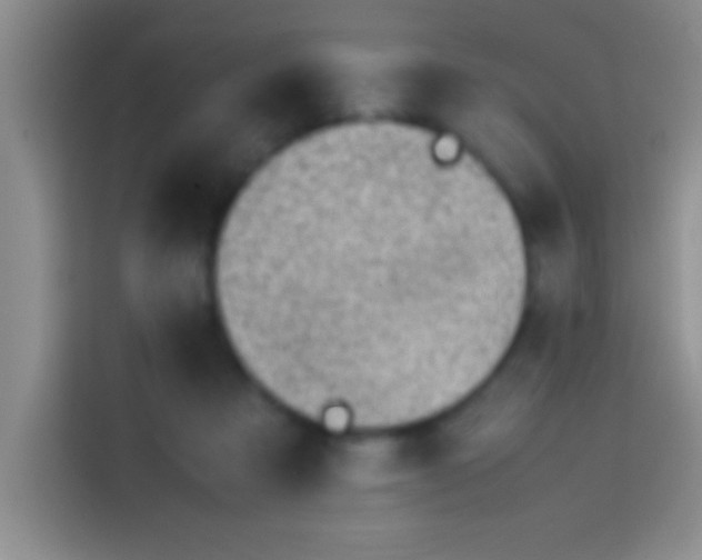 X0000113910313200910011454