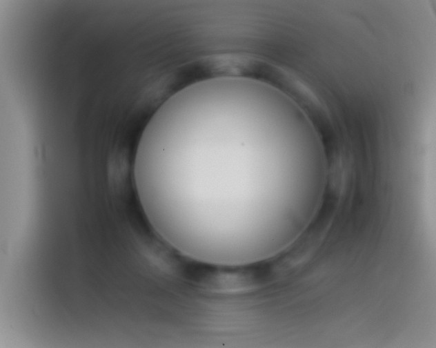 X0000113910314200910011454