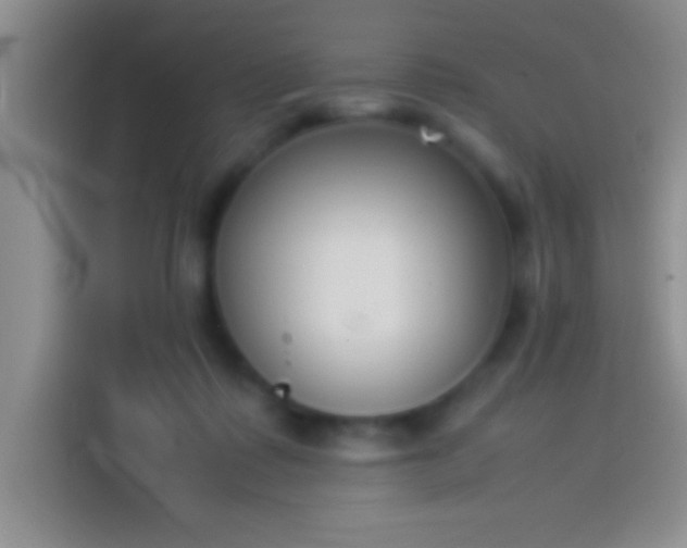 X0000113910315200910011454