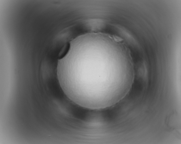 X0000113910316200910011454