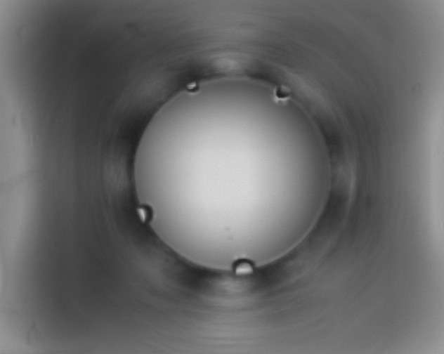 X0000113910317200910011454