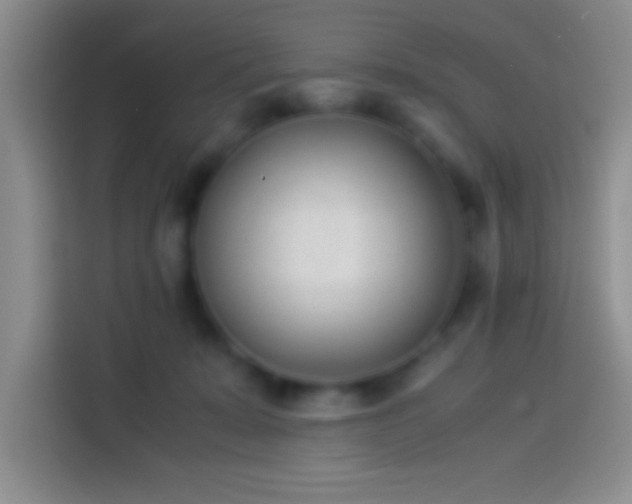 X0000113910319200910011454