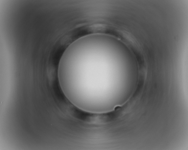 X0000113910323200910011454