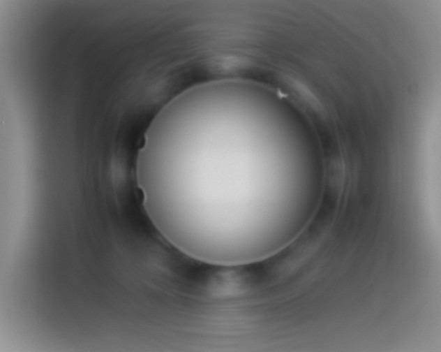 X0000113910324200910011454